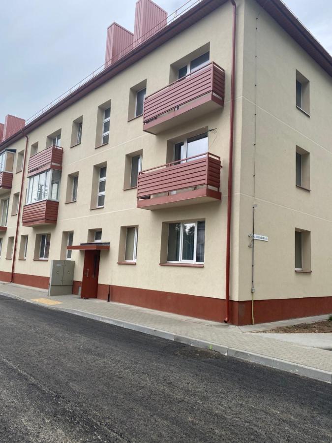 Studio Flat In Kėdainiai 外观 照片